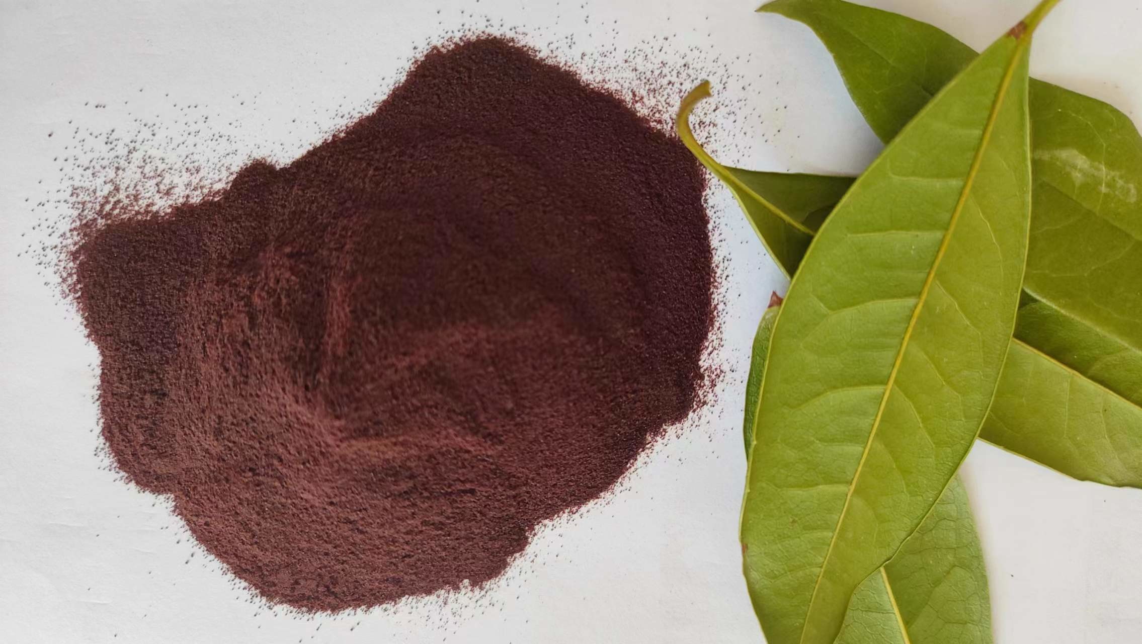 Swine Spray Dried Animal Feed Protein Chicken Blood Cells Albumen Powder