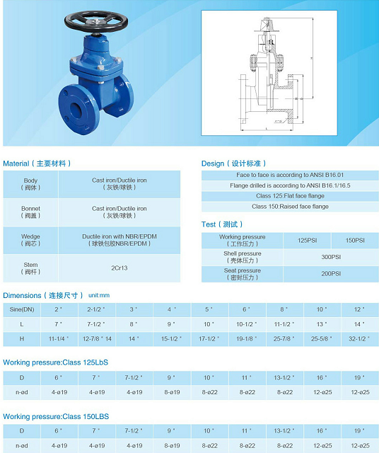 ANSI 125 ANSI 150 Ductile Iron Strainer PN16 PN10 Cast Iron Gate Valve