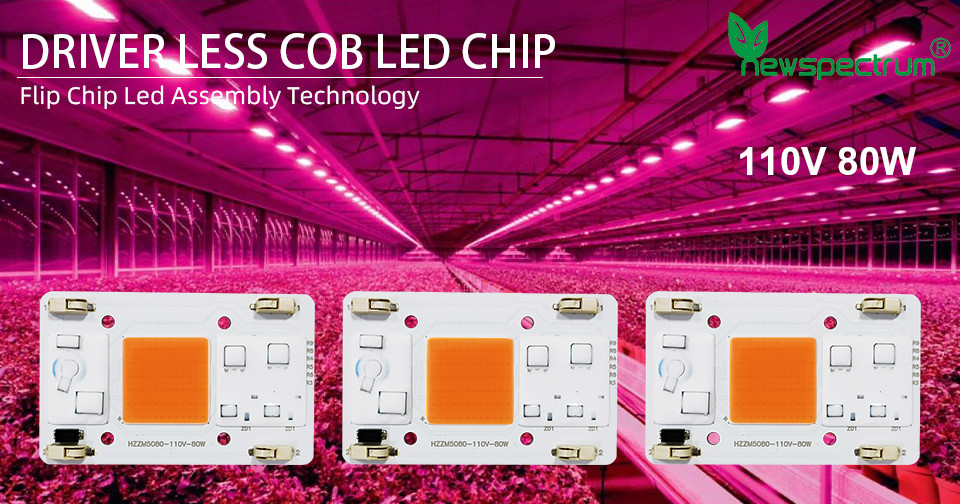 AC110V AC COB LED 80W Full Spectrum Without Soldering Terminal