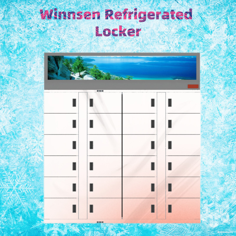 Winnsen 24 Hours Refrigerated Frozen Locker Self Service Fresh Flowers Food Market
