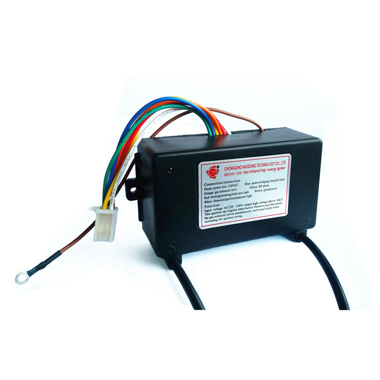 Electronic Pulse Gas Spark Igniter Controller AC110V AC220V For Gas Stove