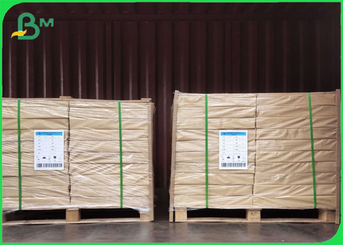 Disposable White 190g 210g Cupstock based paper PE Coated For Coffee Cups