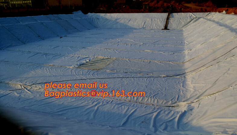 eco-friendly hdpe geomembrane liner geomembrane price,eco-friendly hdpe geomembrane liner waterproofing membranes BAGEAS