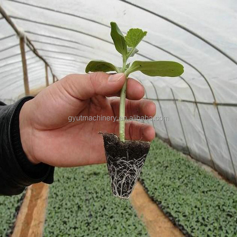 2024 Microgreens Seeder and Top Coater for Cabbage Onion Garden Seed Seeding Machine