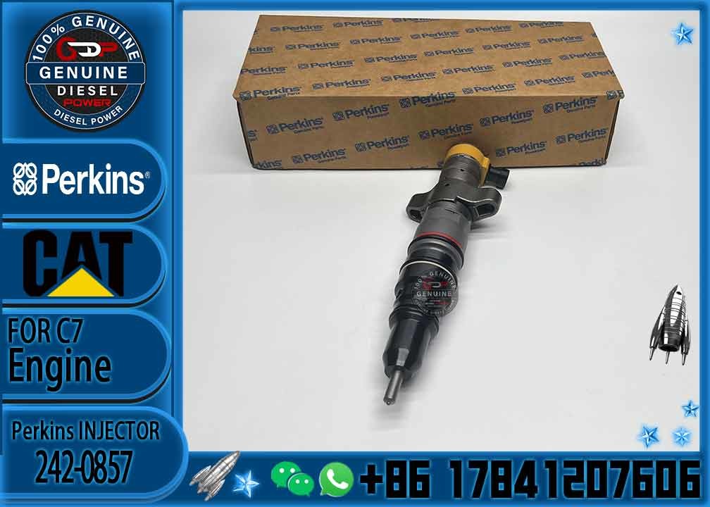 Diesel Engine Parts Common Rail Fuel Injector 242-0857 for CAT C9 330D 340D 336D Excavator CNDIP Factory price