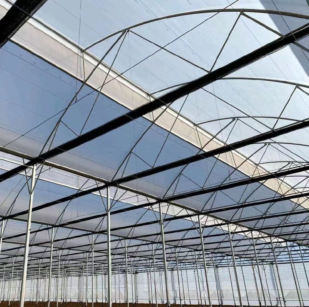 Custom Double Arch Beam Greenhouse for Vegetables Growing