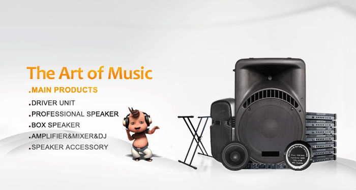 Professional Stage Wood Sound System WPP15 RMS 250W High Power