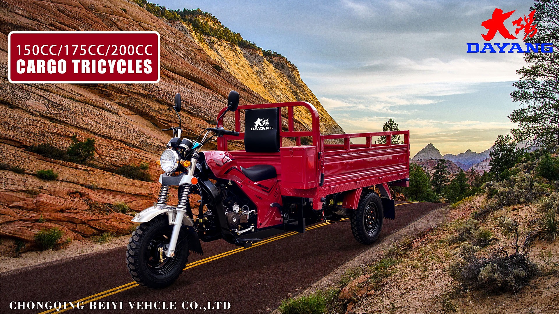 DAYANG Prince 150CC/175CC/200CC Cargo Tricycle for Africa and Southeast Asia Market
