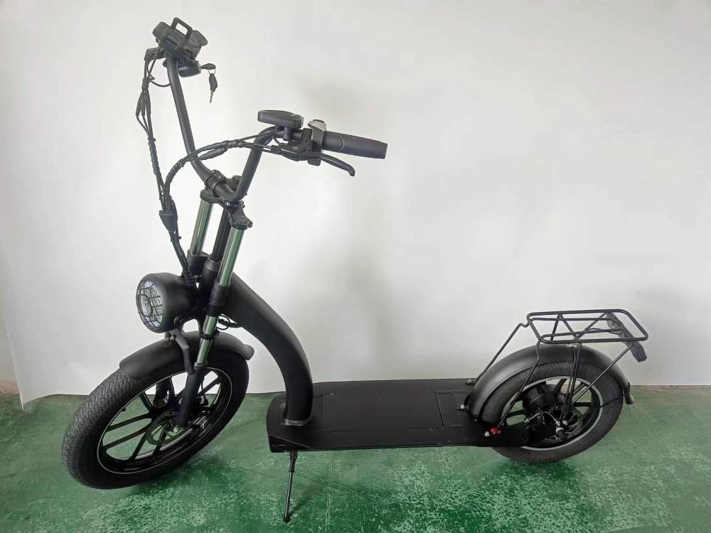 Richbit H200 Fat Electric Scooter Cycle 1000w 48v 16ah 20x3.0 Inch