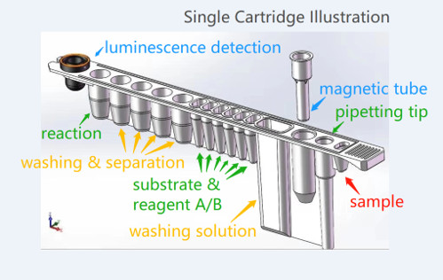 Thymidine Kinase (TK1) Diagnostic Lab Reagents In Fully Automated Immunoassay Analyzer IVD Reagents For POCT