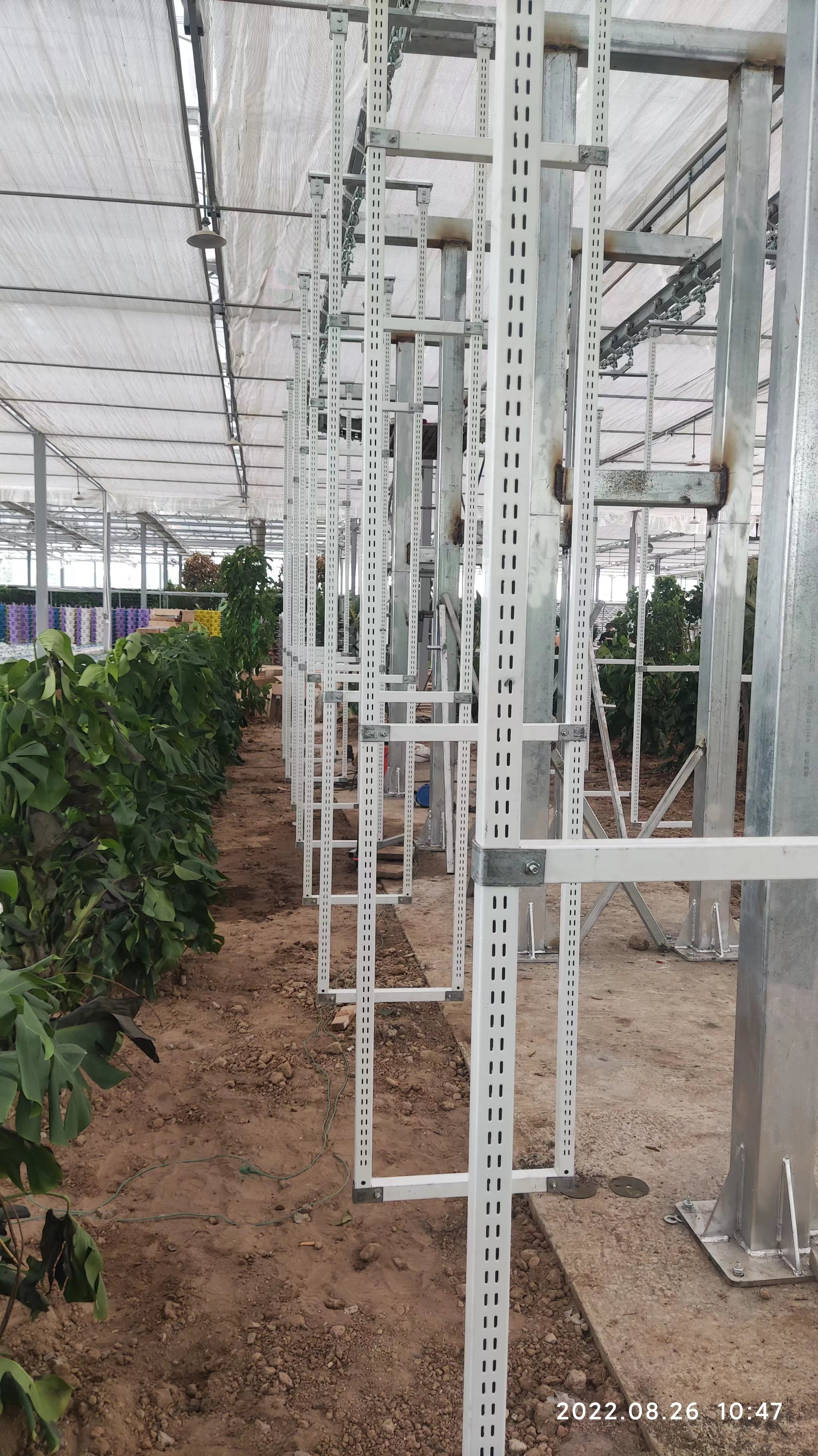 Vertical Farming Hanging Plant Hydroponic Intelligence Farming