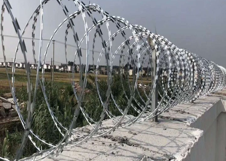 Electro Galvanized Razor Barbed Wire BTO 22 700MM Coil