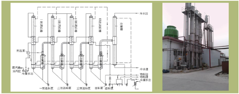 Vacuum Double Effect Evaporator Evaporator For Mango Juice Concentration