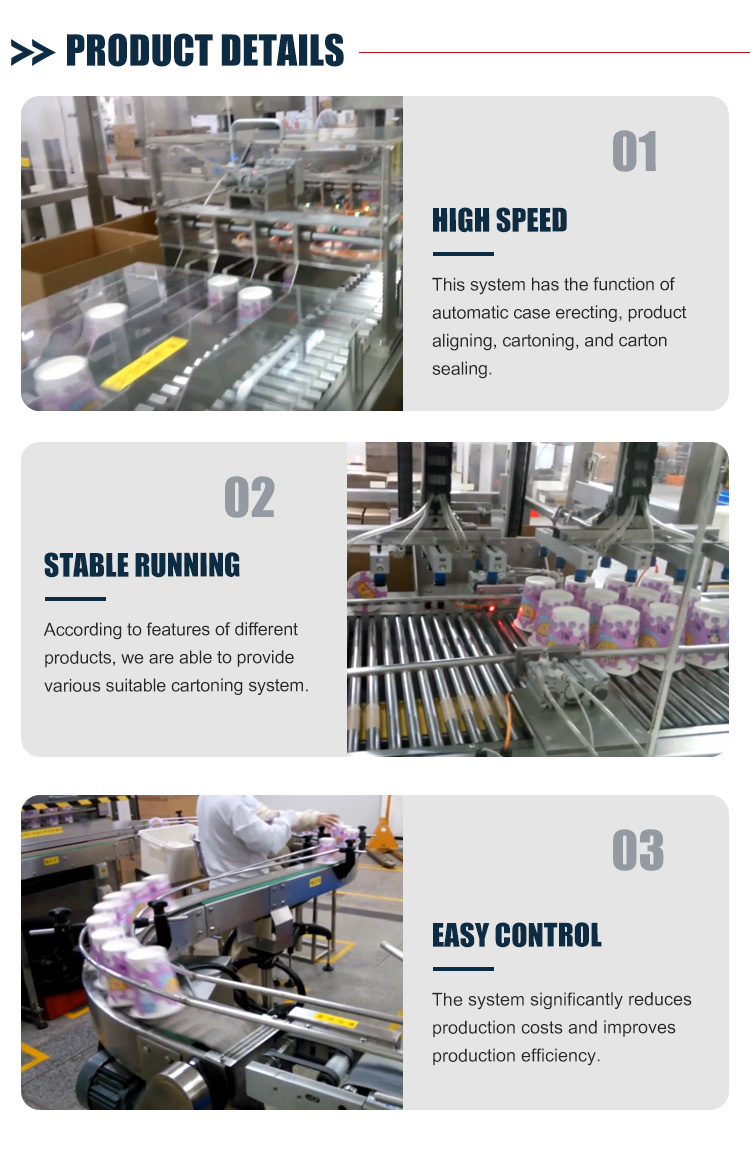 Automatic Case Packer System Multi Function E Commerce Packing Food Machine