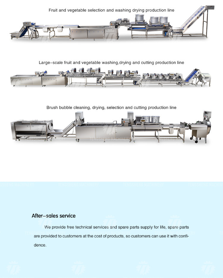 1000KG/H Automatic eddy current washing machine Fruit and vegetable vortex bubble cleaning vibration drainer