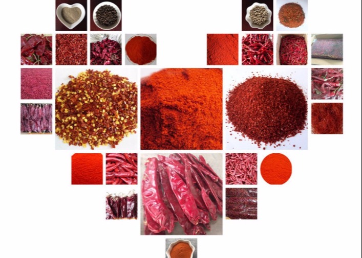 Strong Pungent Red Bullet Chilli Without Stem Dehydrating 30000 Shu