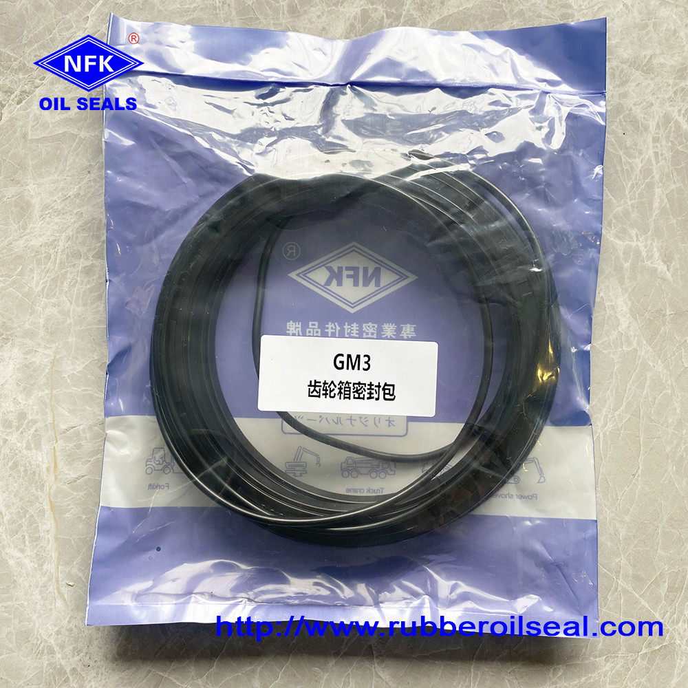 GM2-3500 Motor Service Repair Kit Marine Gear Seal Kits For Ship Hydraulic Systems