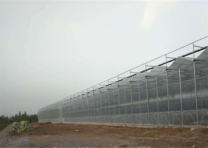 Effective Heating System PC Sheet Greenhouse High Light Transmitting Rate