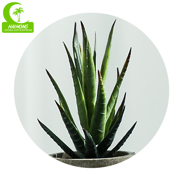artificial succulent plants