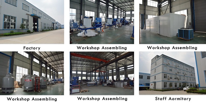 4500kg Daily Production Snow Ice Machine for Artificial Snow Production Line