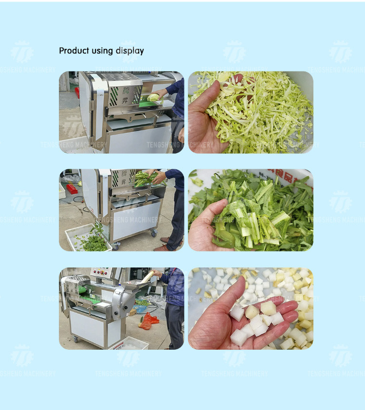 304 Stainless Steel Vegetable Processing Machine Double Head Cabbage Dicing Equipment