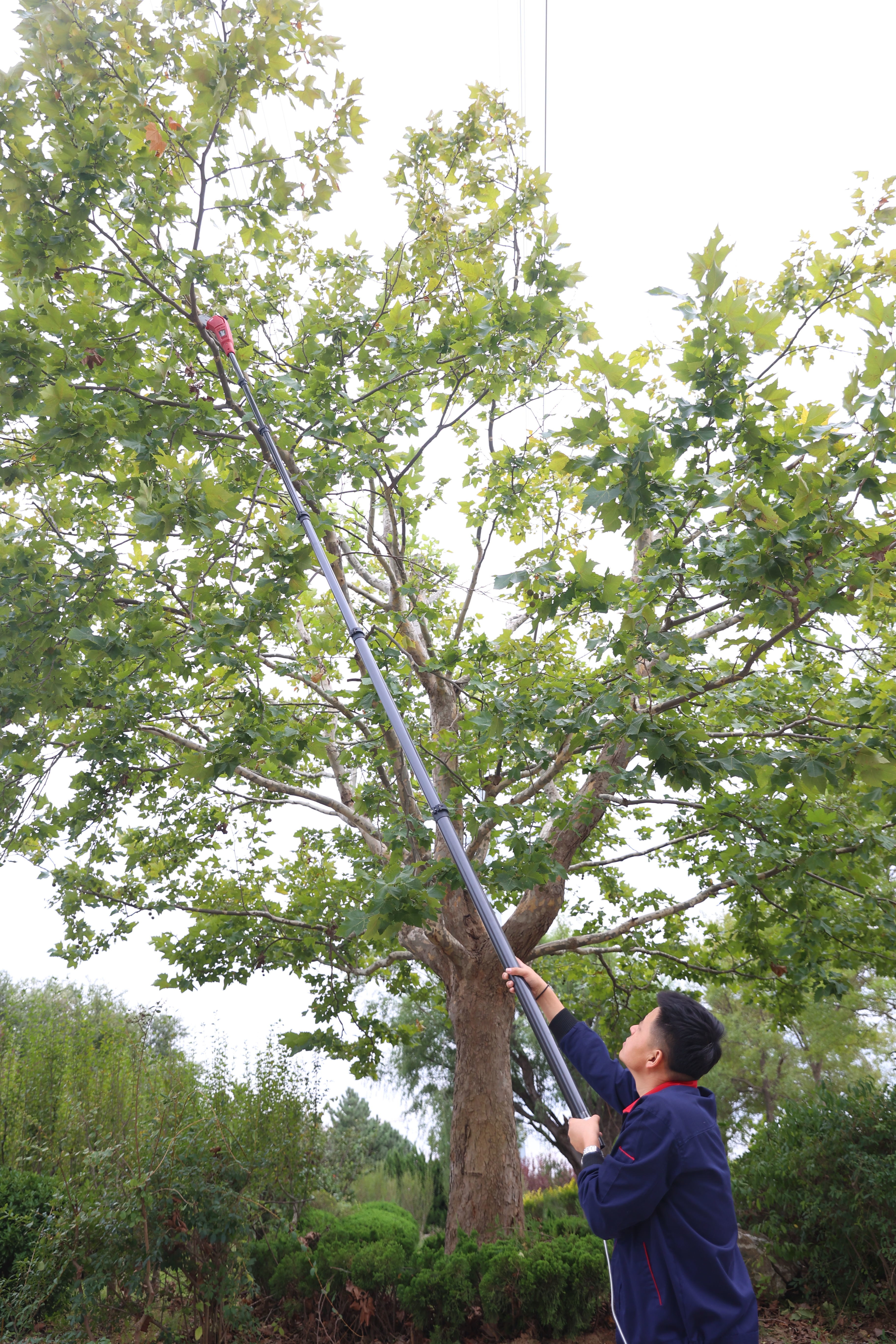 Anti Rotation Carbon Fiber Harvesting Pole 50ft 60ft 70ft Chainsaw Extended Pole