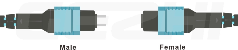 male female MPO patch cord1.jpg