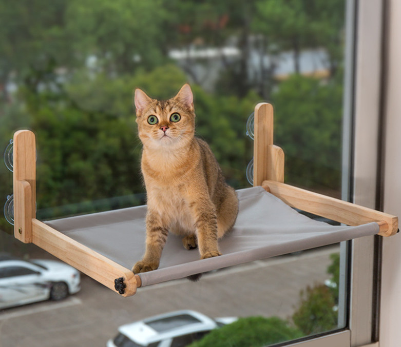 amazon cat hammock
