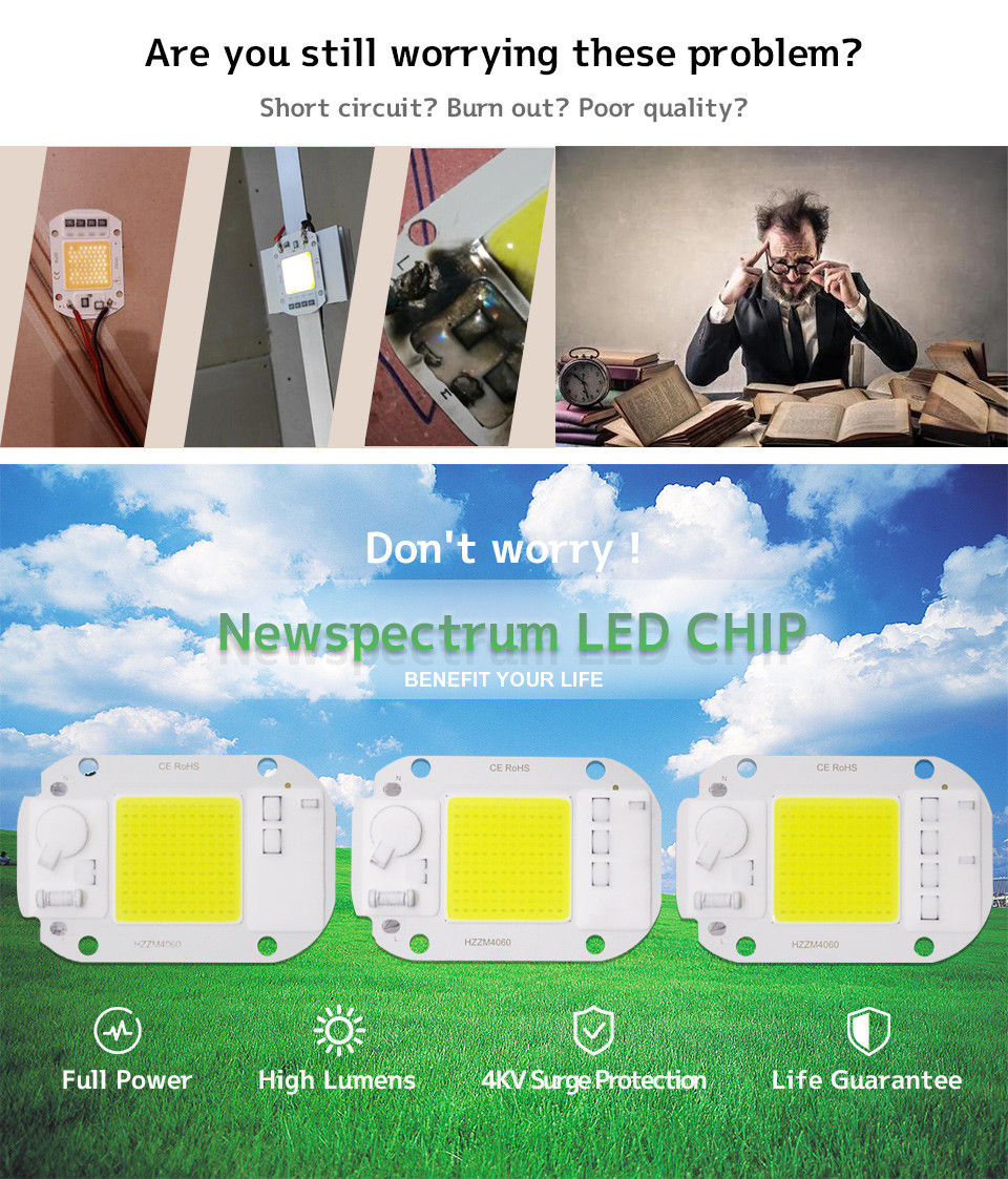 Customized Logo AC COB LED