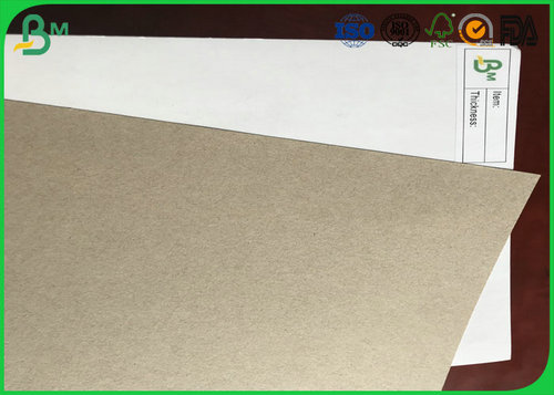 duplex paper