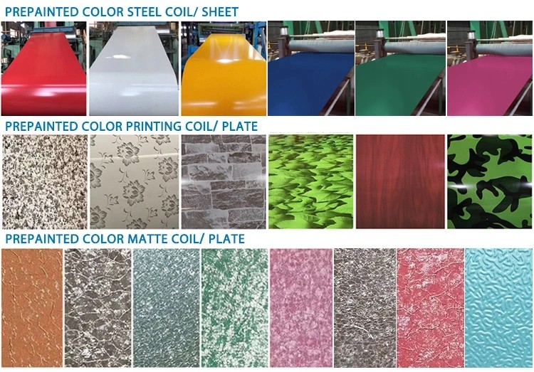 0.12mm - 0.6mm Prepainted Galvanized Steel Coil Dx51d Ral 6005