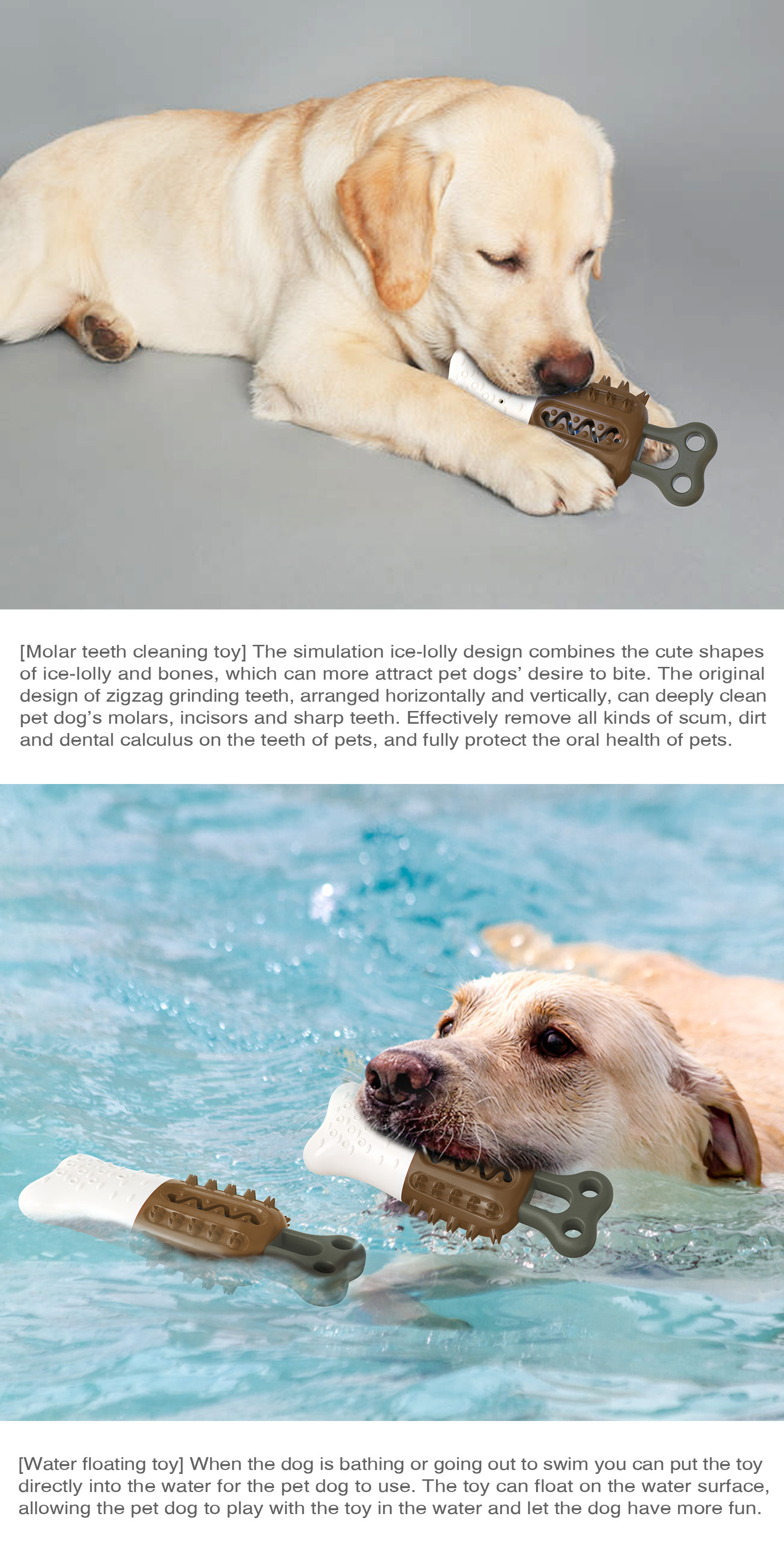 Molar Popsicle Pet Dog Molar Stick TPR ABS Chew Toy Dog Toothbrush 154g