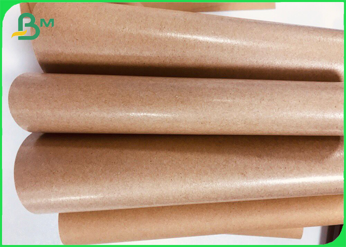 Food Grade PE Coated Natural Virgin Kraft Paper for Paper plate 350gsm