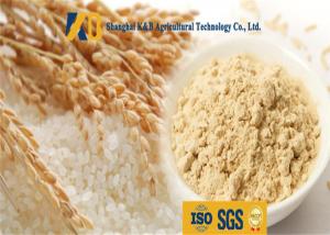 Buy cheap Non Allergen Lactose Free Rice Protein Nutrition For Healthy Food Addictive product