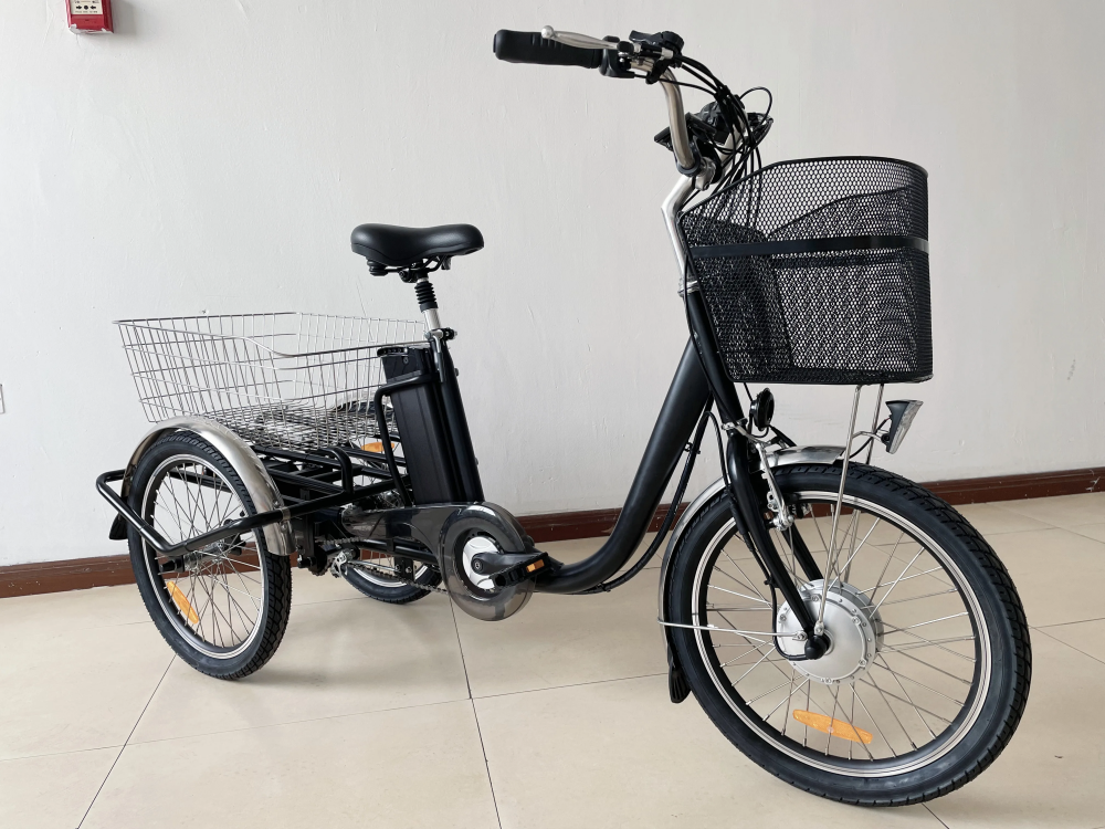 36V 250W Motor 3 Wheel Cargo Bike Tricycle Electric For Adult Derailleur 3 Speed