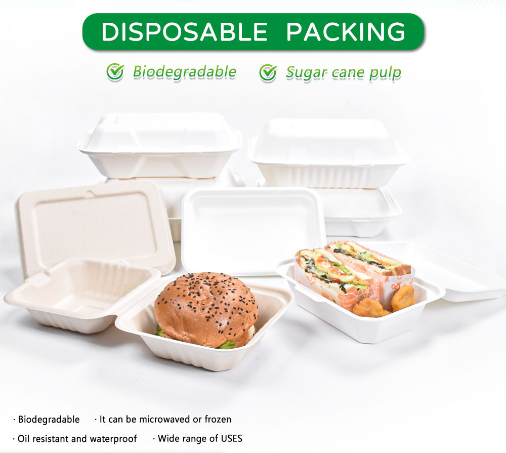Biodegradable 2 Compartment Bagasse Sugarcane Bento Box - Sustainable Disposable Takeaway Food Container