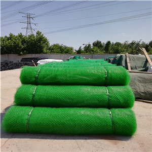 Textured Smooth Surface 100mm Height HDPE Geocell for Durable Infrastructure Projects
