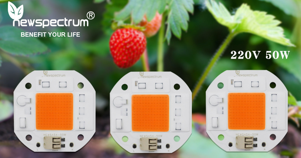 High Lumen Output 50W LED Chip