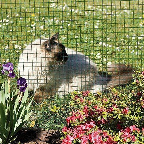 0.9mx50m Chicken Mesh Fence