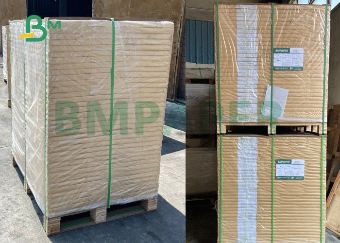 80 lb 100lb Gloss Text Cover Paper For Booklets 25 x 38inches Two Side Coated