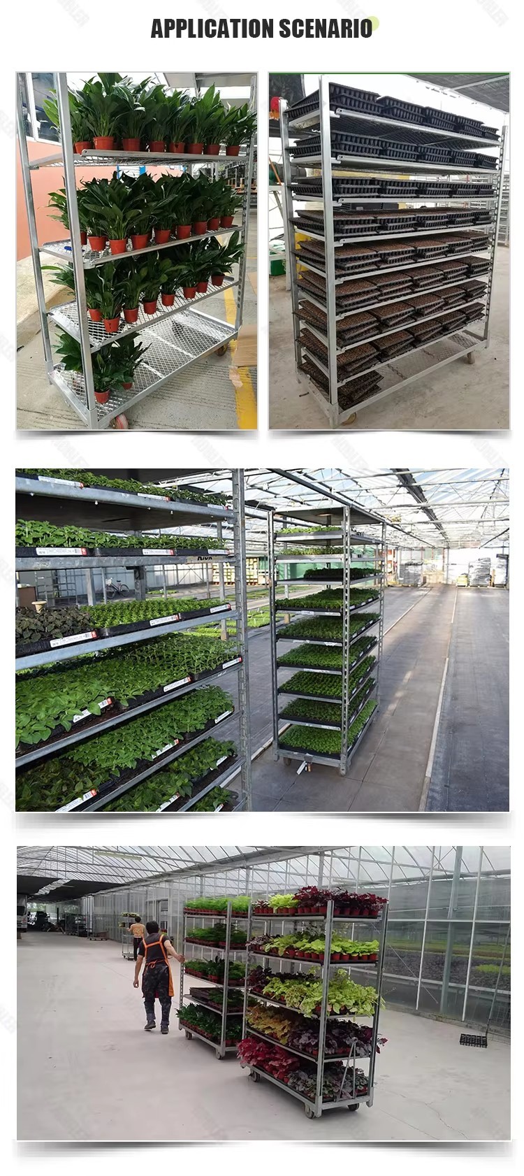 Four Wheel Rolling Danish Flower Trolley Transport Plant Products