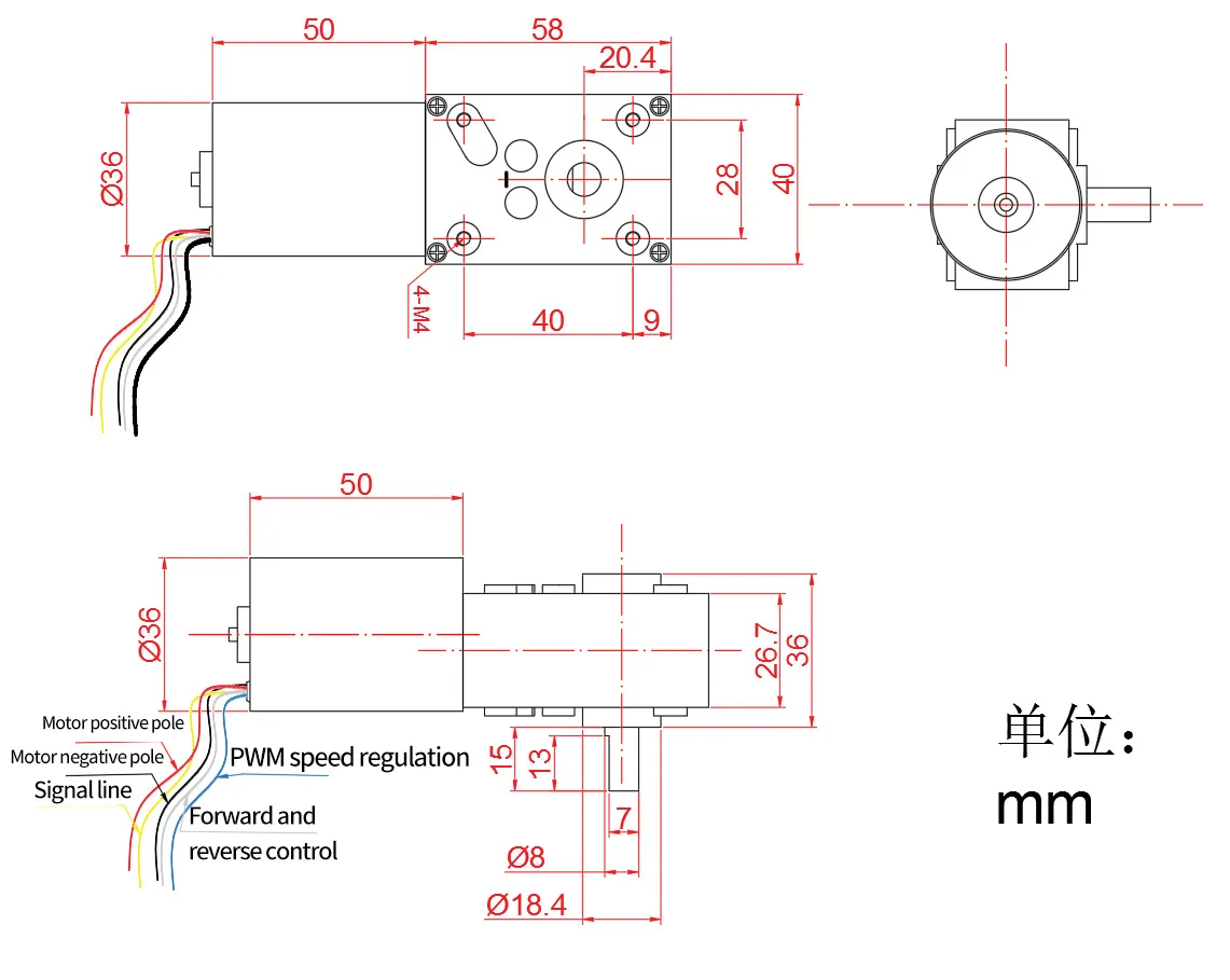 Micro Brushless DC Right Angle Motor A58-3650 Worm Gear Motor DC 24V 24v Dc Worm Gear Motor
