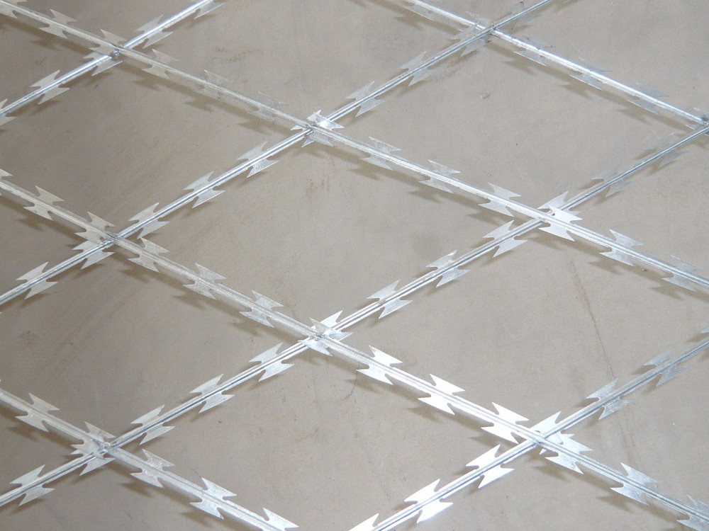 Hot Dipped Galvanized Razor Blade Fencing Wire Barbed 65mm Length CBT 65