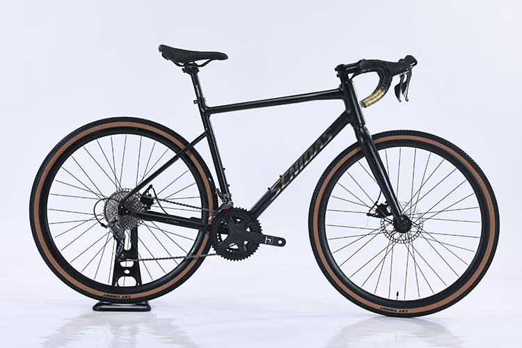 Ordinary Pedal Thru-axle 700*40C Hydraulic Disc Brakes Gravel Bike with Hidden Cables