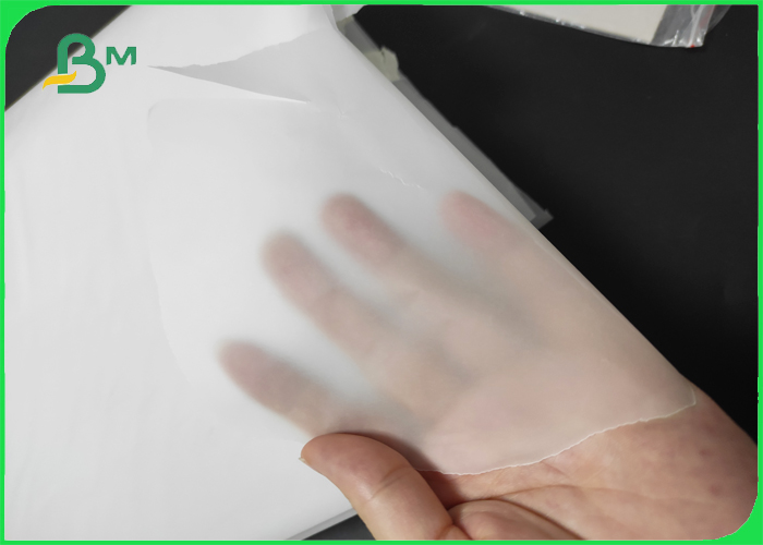 translucent tracing paper