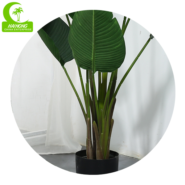best office plants