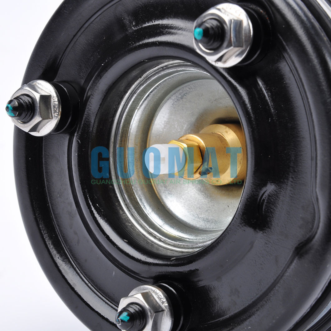 Rear Left Right Air Suspension Spring A2203205013 for Mercedes Benz