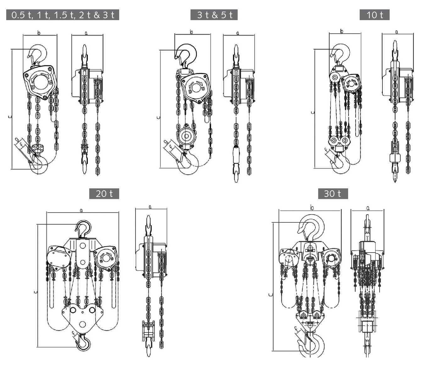 G100 Chain Block Lifting