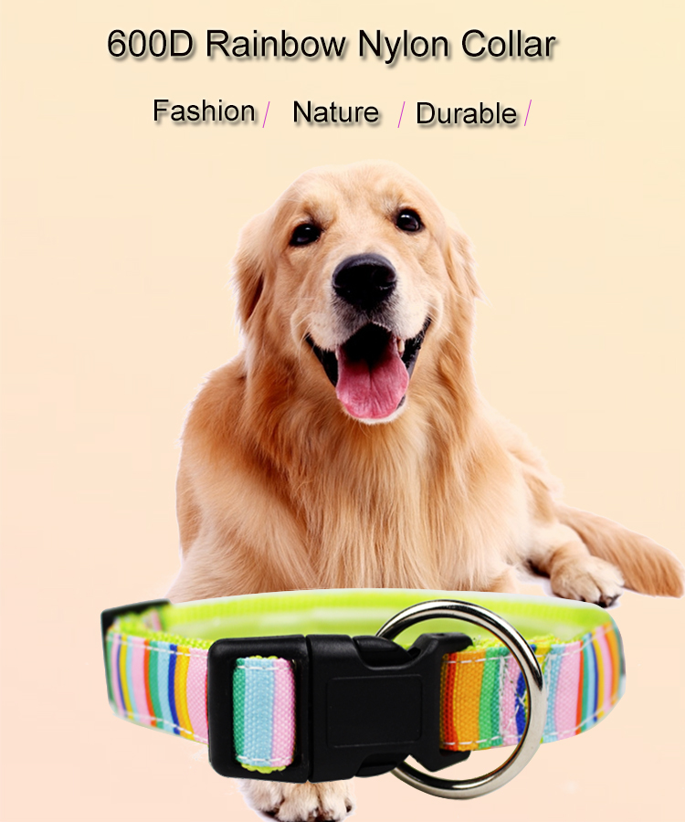 C508 Shenzhen Manufacturer Cute Cheap Price Custom Logo Fashion Sublimation Pet Dog Collars and Leads