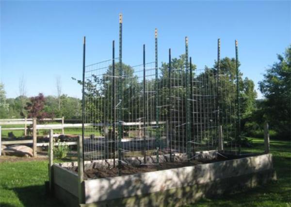 Green Steel Fence T Post 1-3/4 In X 3-1/2 In X 6 Ft Chain Link Fence Fittings